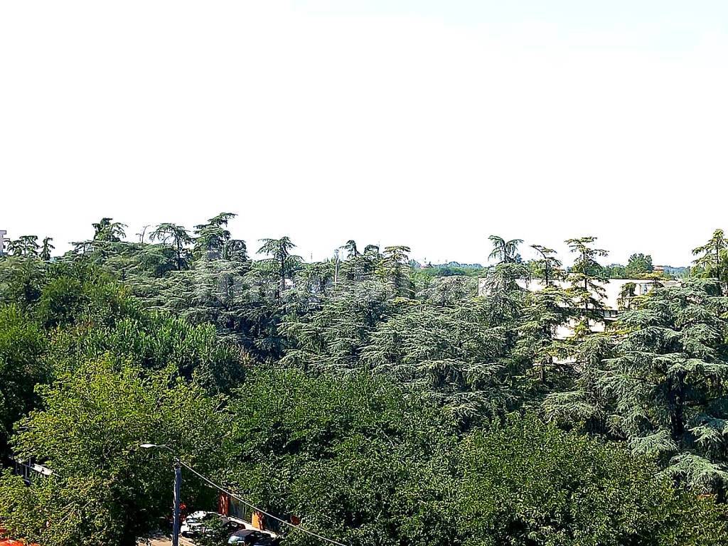 Vista