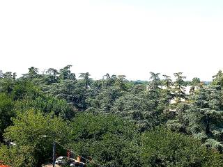 Vista