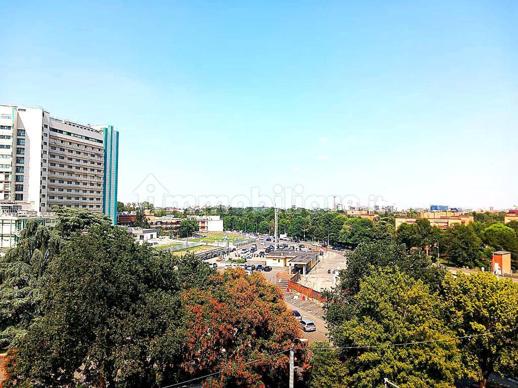 Vista