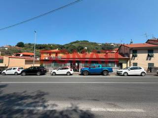 Zona