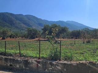 Terreno