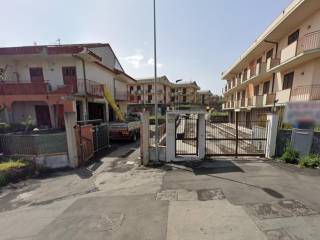 Zona