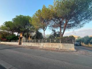 Zona