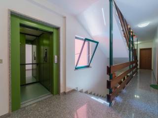Scala