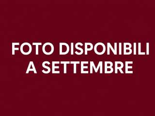 Altro