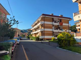 Zona