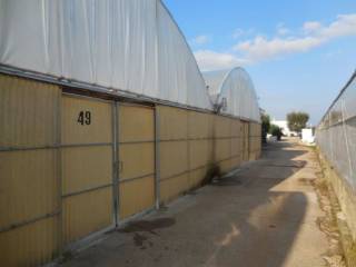 Zona