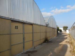 Zona