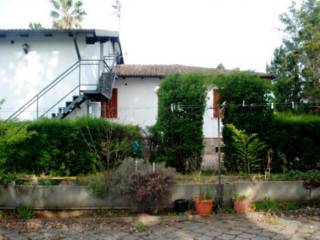 Zona