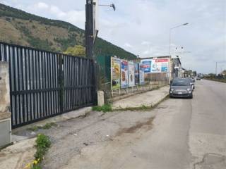 Zona