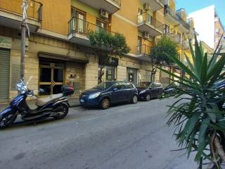 Zona