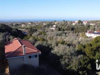 Vista