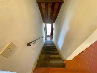 Scala