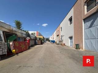 Zona