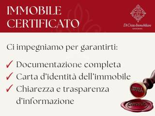 Dettagli