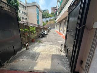 Ingresso