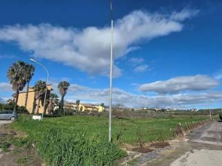 Zona
