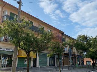 Zona