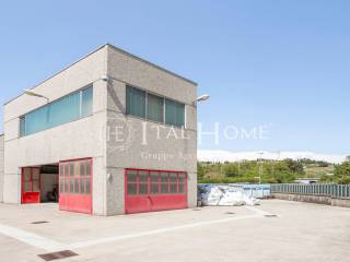 Zona