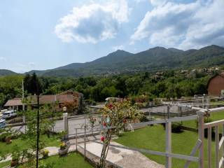 Vista