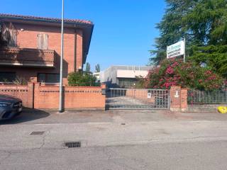 Zona