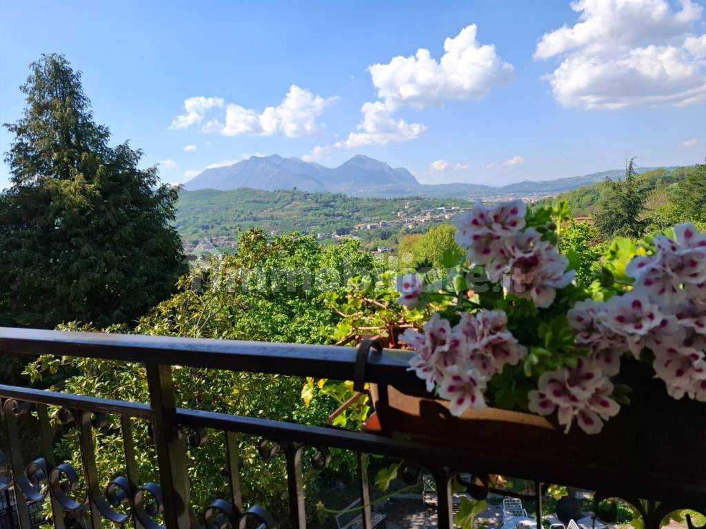 Vista