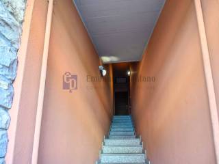 Ingresso