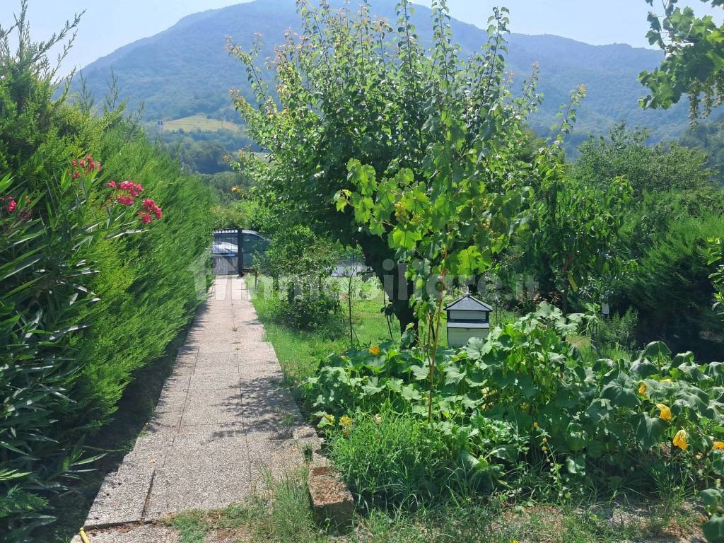 Giardino