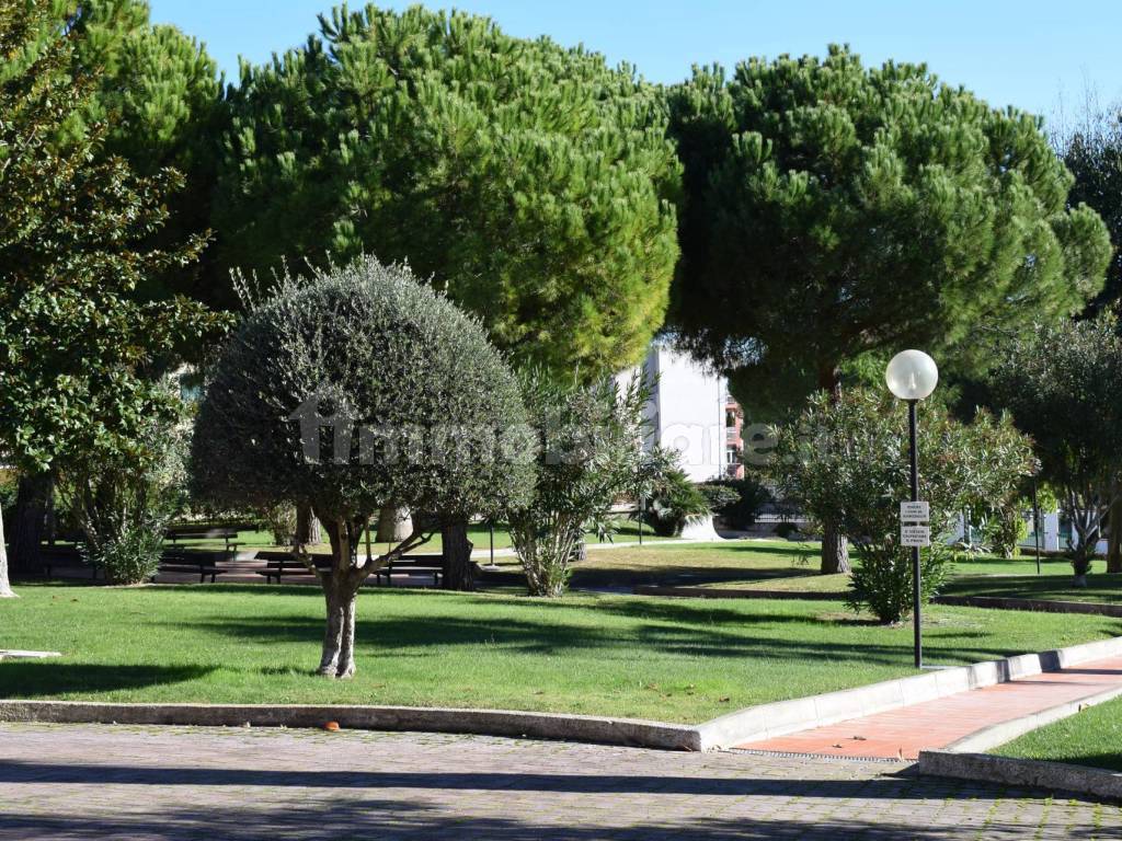 Zona