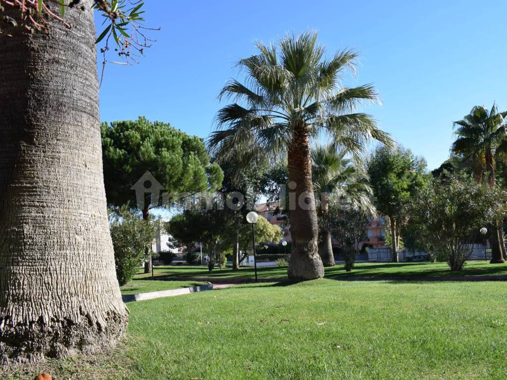 Giardino
