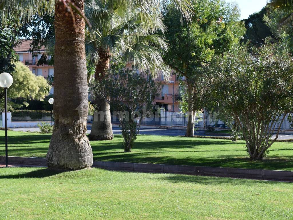 Giardino