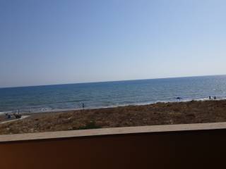 Zona