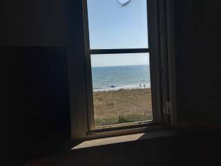 Vista