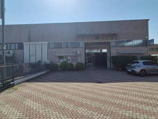 Zona