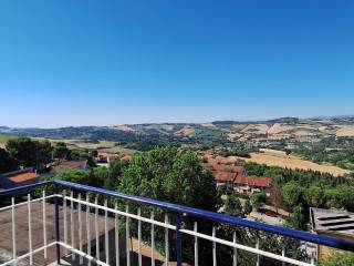 Vista