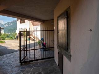 Ingresso