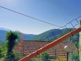 Vista