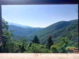 Vista