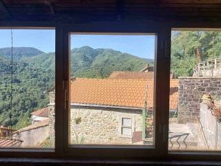 Vista