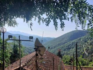 Vista