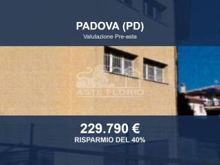 Zona