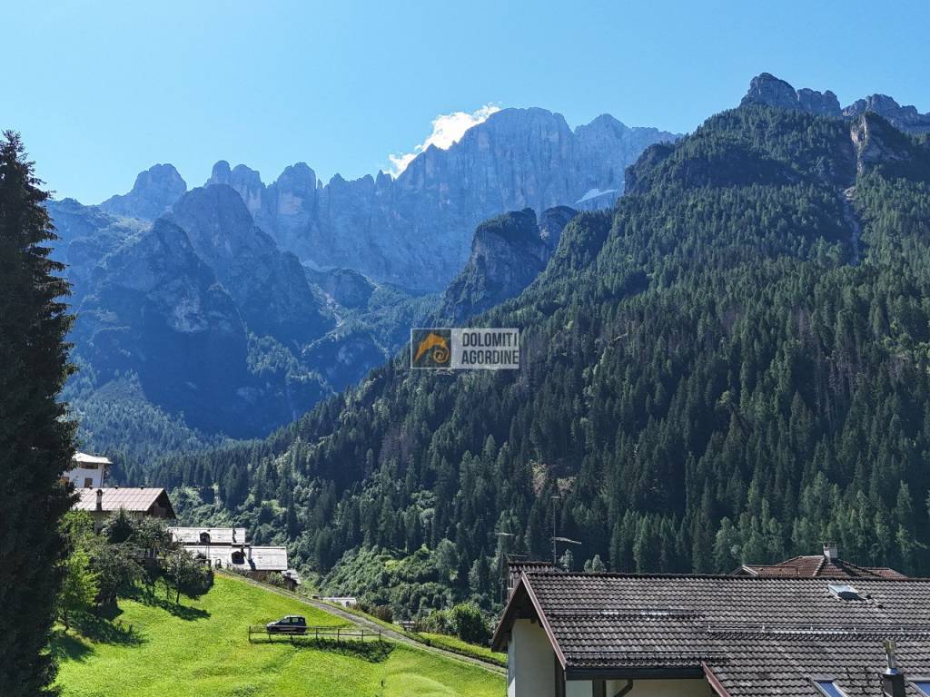 Vista