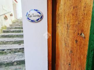 Scala