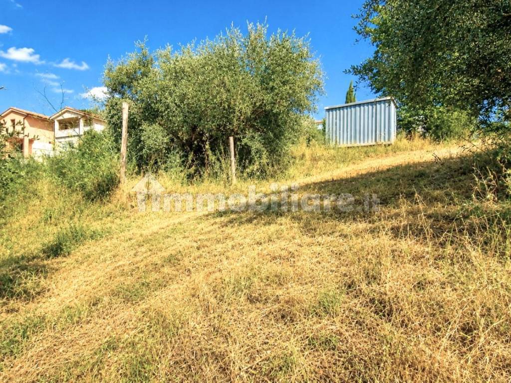 Terreno
