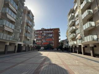 Zona