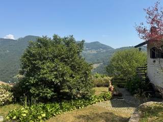 Vista