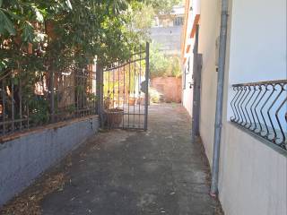 Ingresso