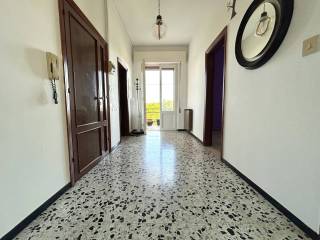 Ingresso
