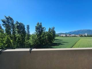 Vista