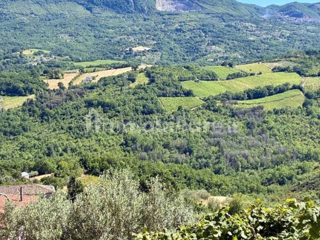Vista